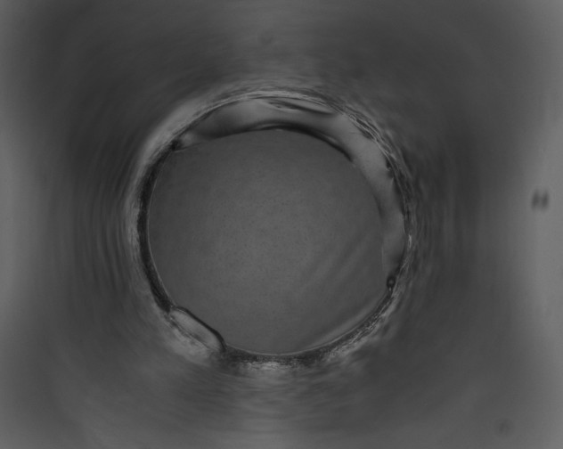 X0000089750197200707121348