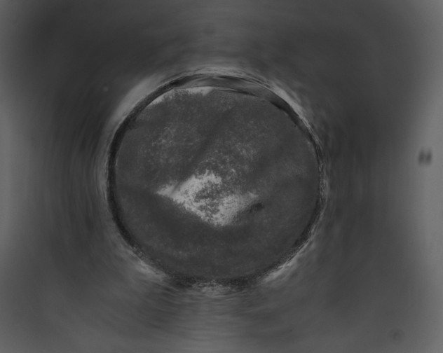 X0000089750199200707121348