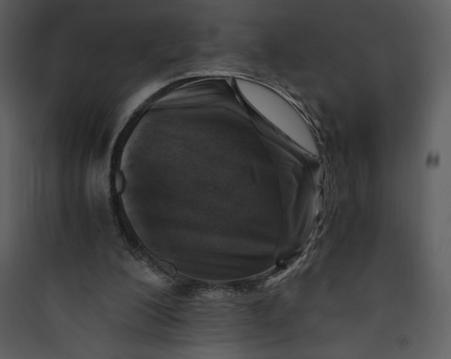 X0000089750200200707121348