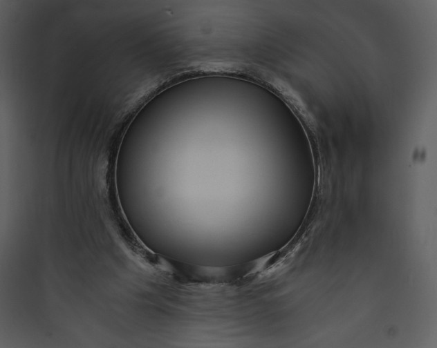 X0000089750201200707121348