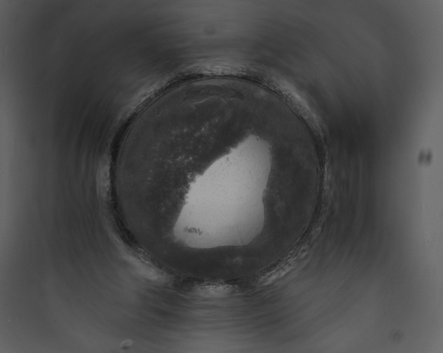 X0000089750202200707121348