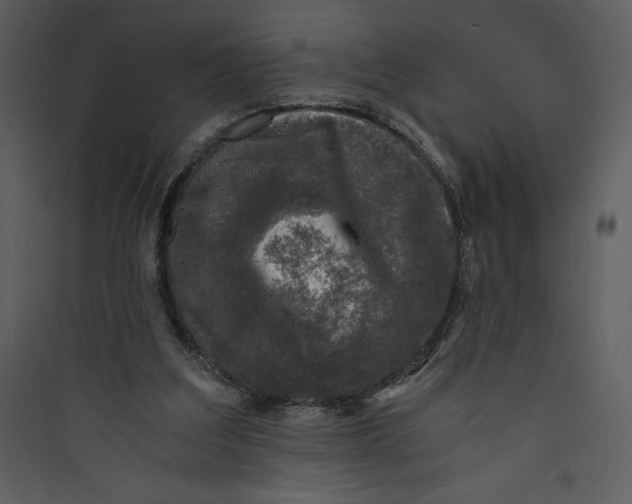 X0000089750203200707121348