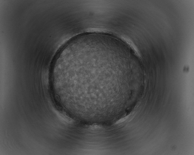 X0000089750204200707121348