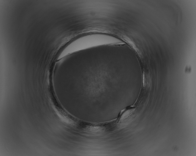 X0000089750205200707121348