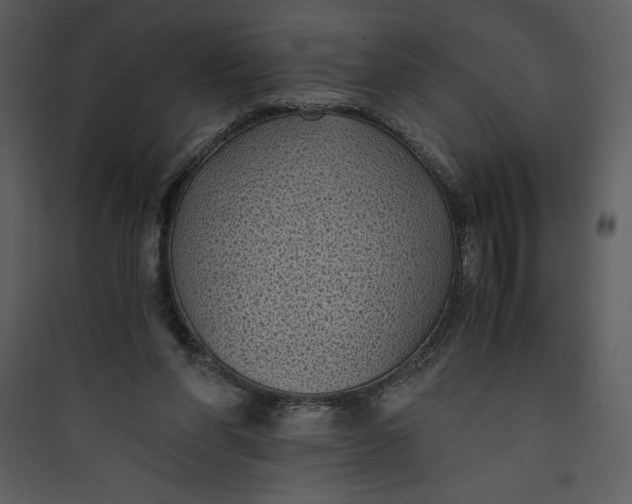 X0000089750206200707121348