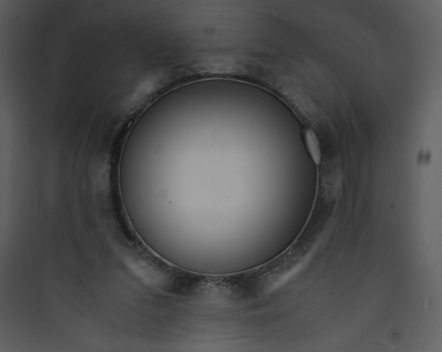 X0000089750207200707121348