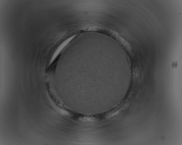 X0000089750209200707121348