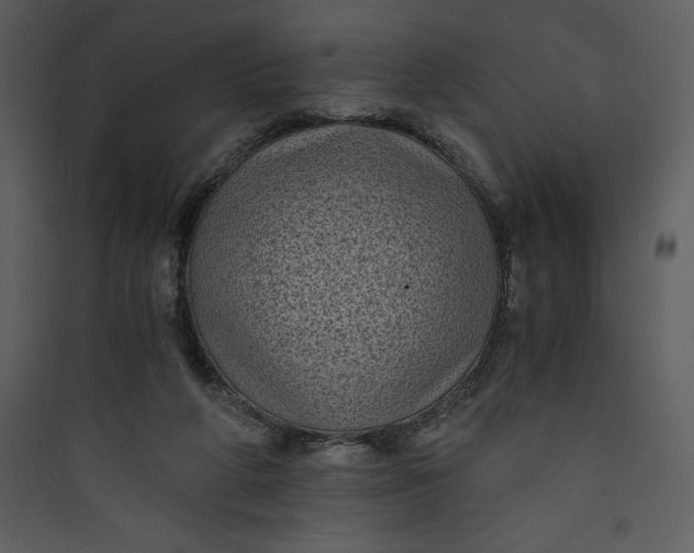 X0000089750210200707121348