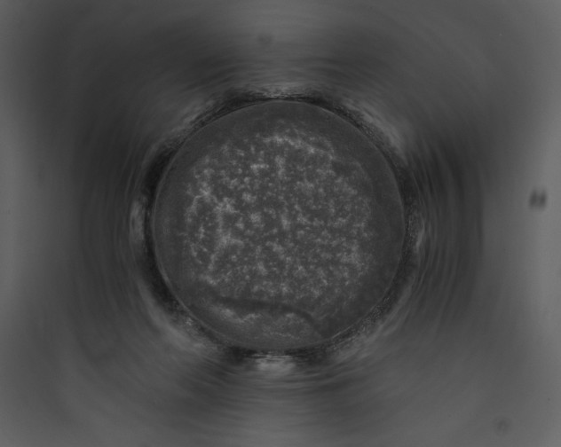 X0000089750214200707121348