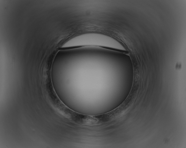 X0000089750215200707121348