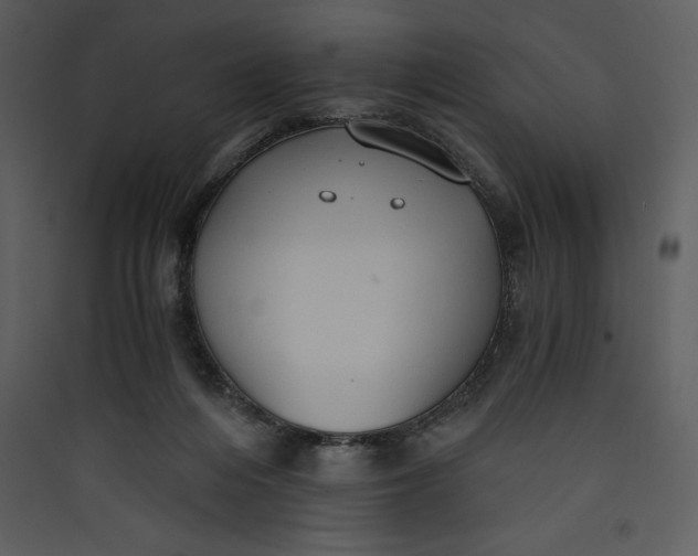 X0000089750216200707121348