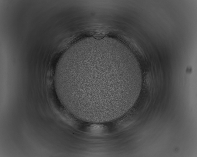 X0000089750218200707121348