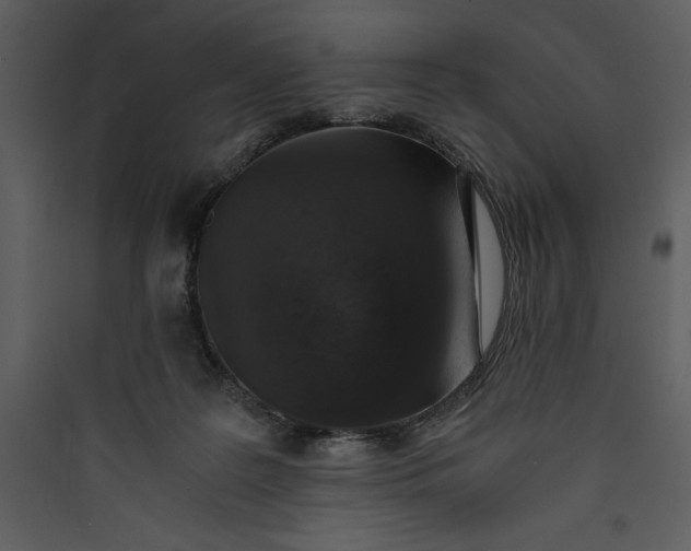 X0000089750219200707121348