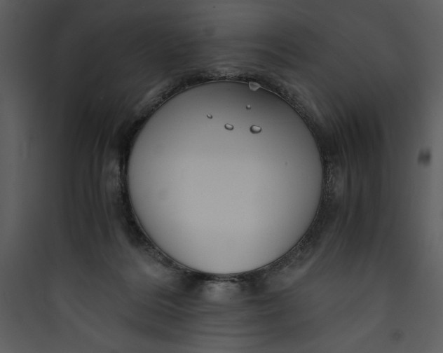 X0000089750220200707121348