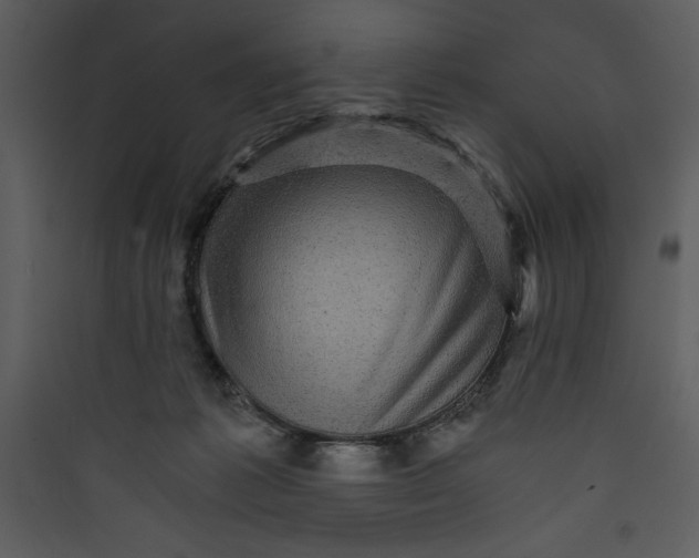 X0000089750221200707121348