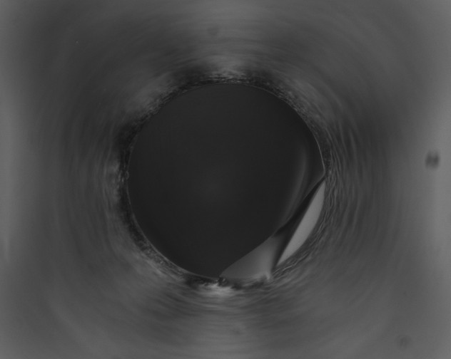 X0000089750223200707121348