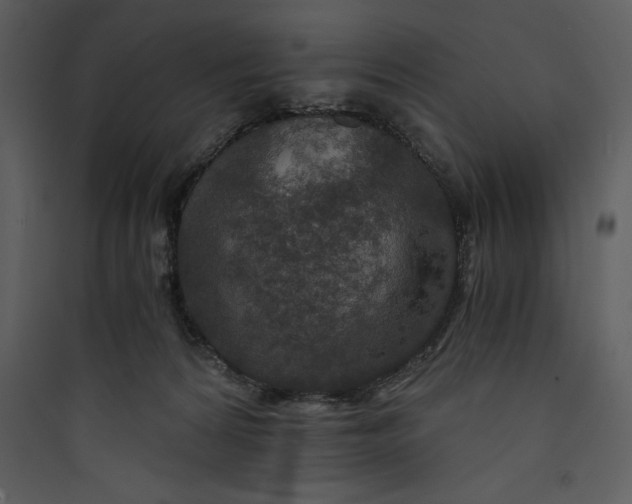 X0000089750224200707121348