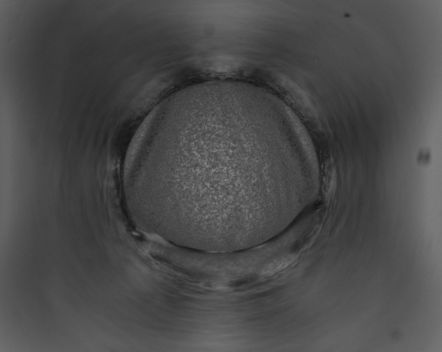 X0000089750225200707121348