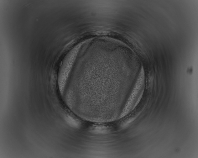 X0000089750228200707121348