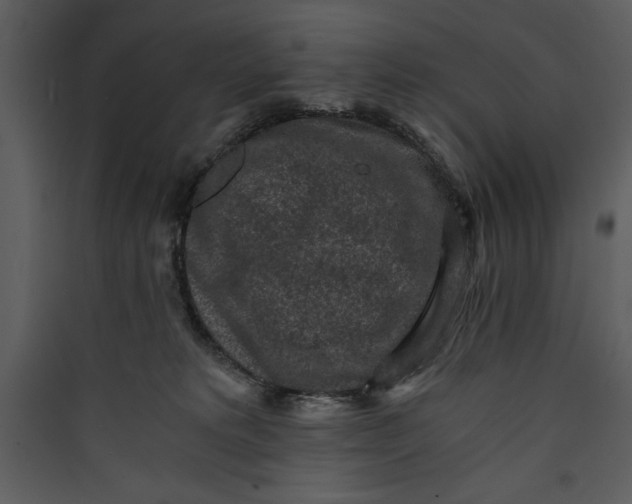 X0000089750229200707121348