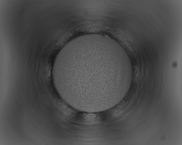 X0000089750230200707121348