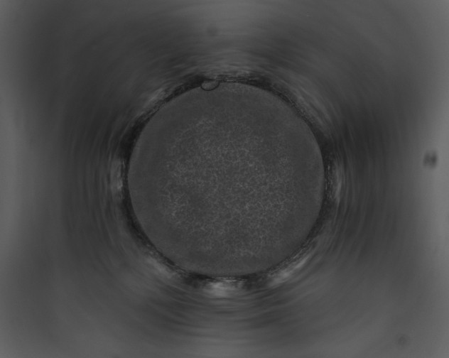 X0000089750232200707121348