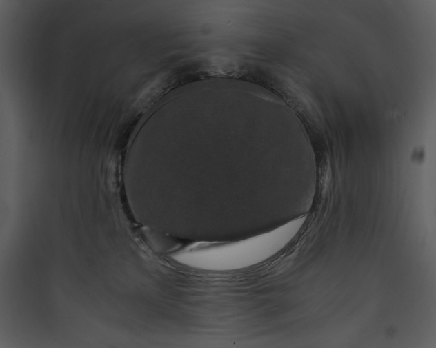 X0000089750233200707121348