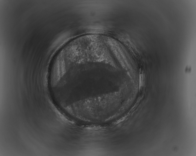 X0000089750243200707121347