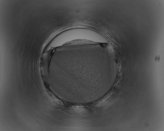 X0000089750244200707121347