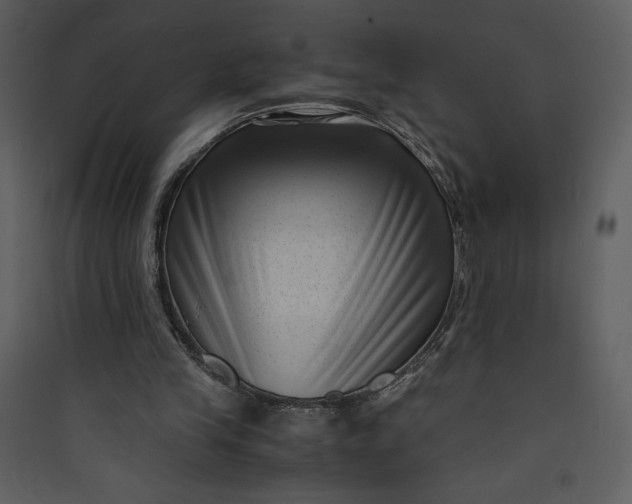 X0000089750245200707121347