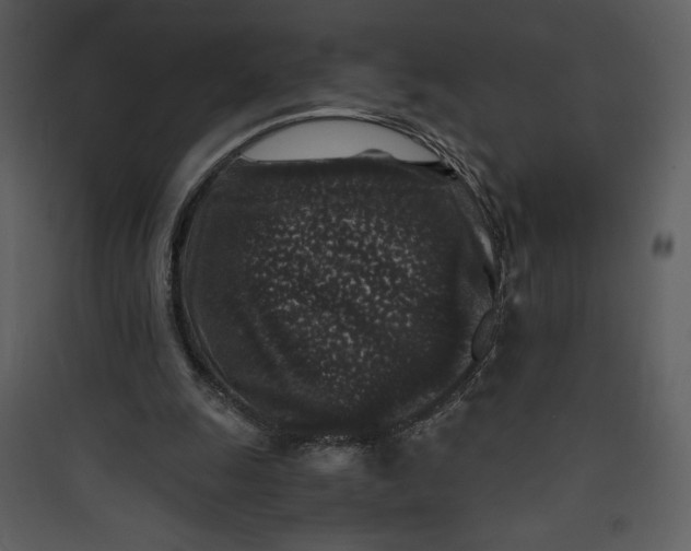 X0000089750247200707121347