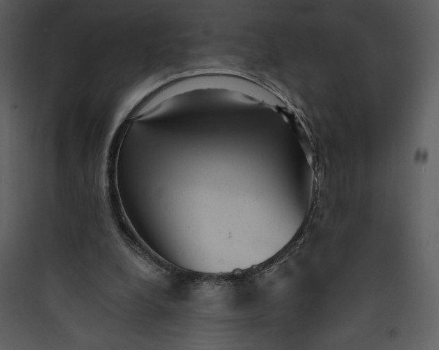 X0000089750248200707121347