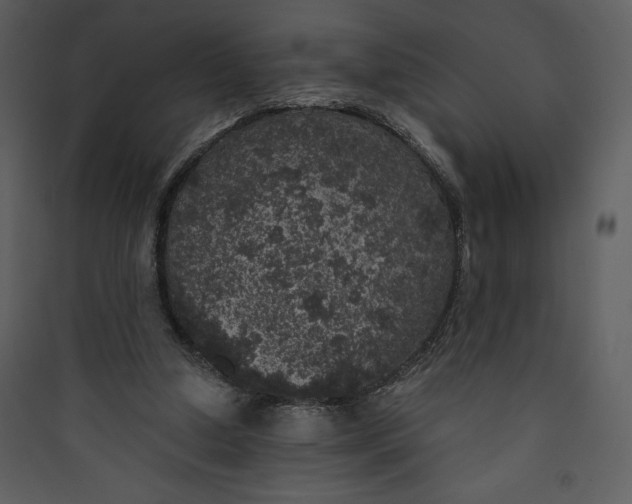 X0000089750250200707121347