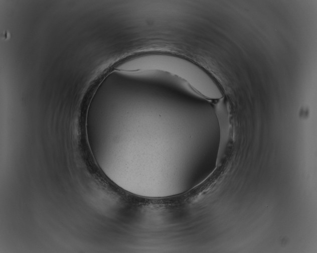 X0000089750252200707121347