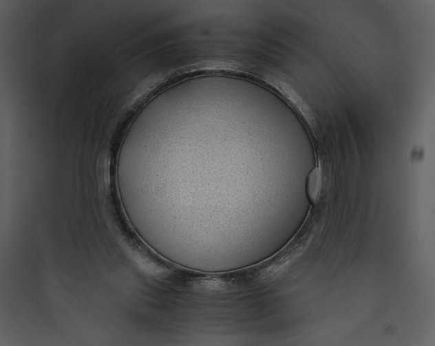 X0000089750253200707121347