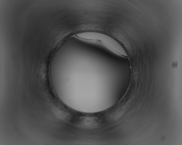 X0000089750255200707121347