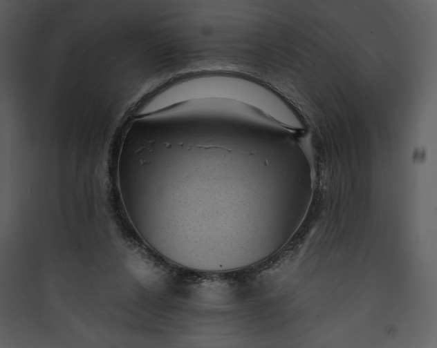 X0000089750256200707121347