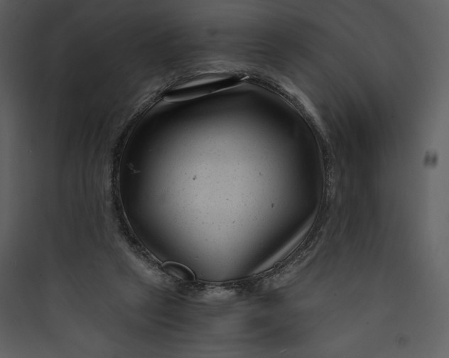 X0000089750257200707121347