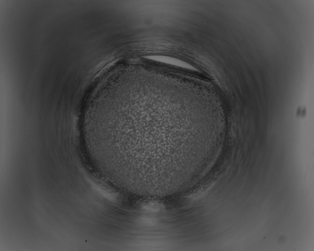 X0000089750258200707121347