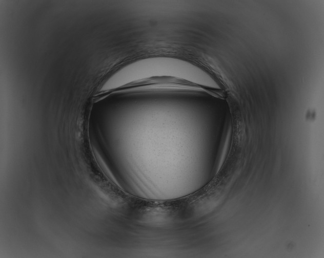 X0000089750259200707121347