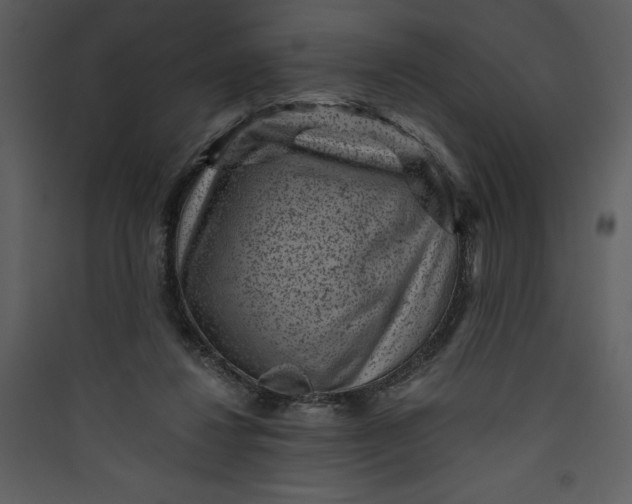 X0000089750260200707121347