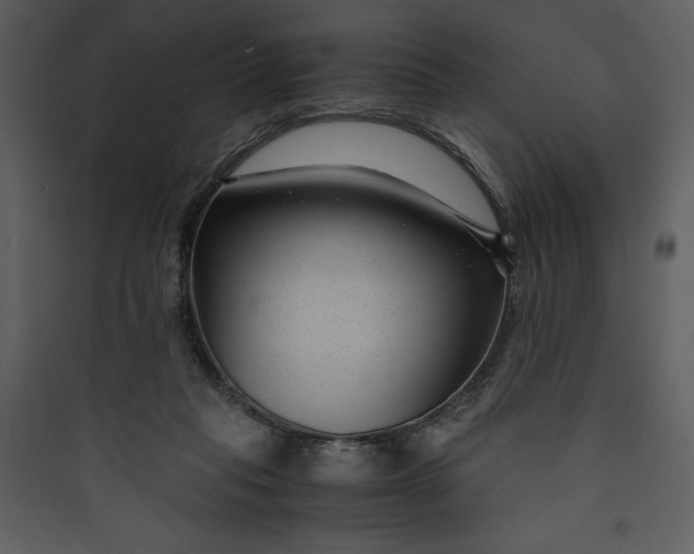 X0000089750261200707121347