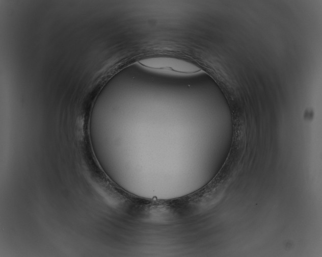 X0000089750262200707121347