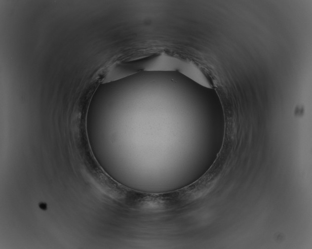 X0000089750263200707121347