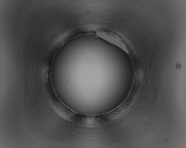 X0000089750264200707121347