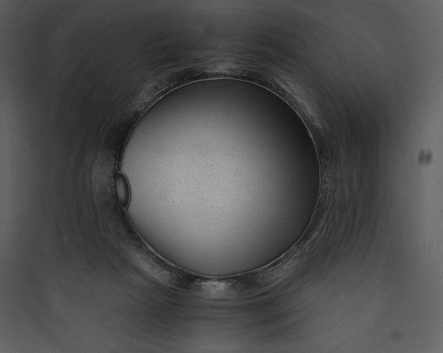 X0000089750265200707121347