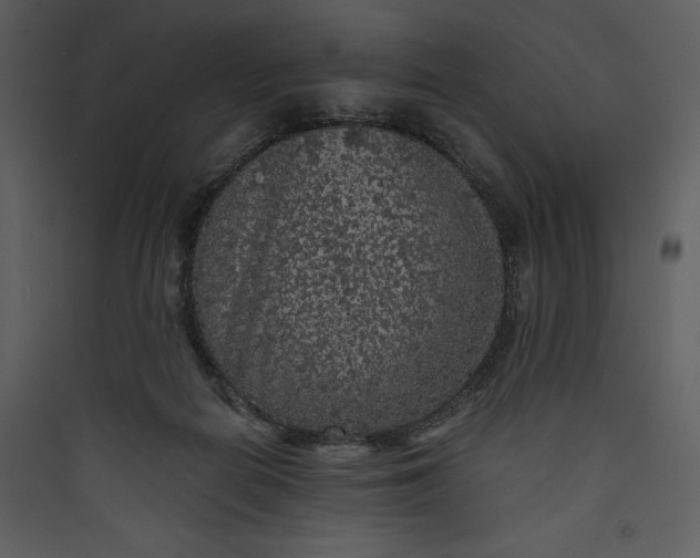 X0000089750266200707121347