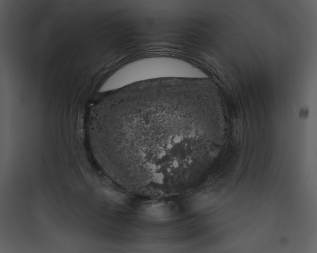 X0000089750267200707121347