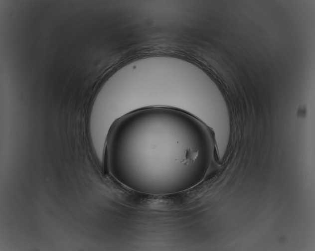 X0000089750268200707121347