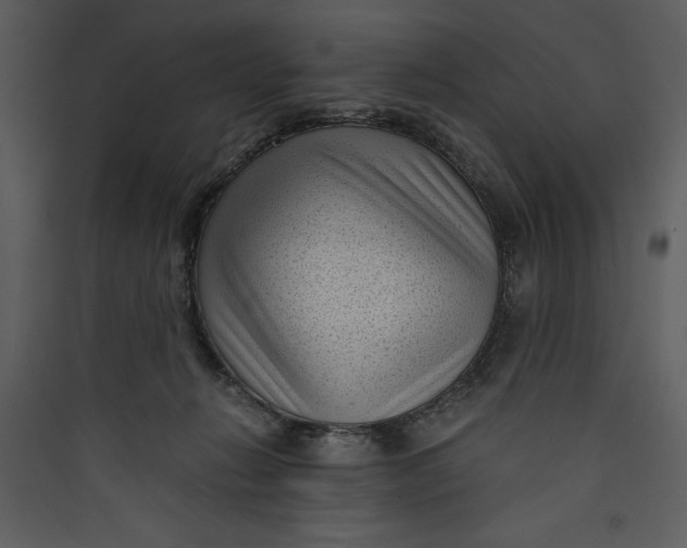 X0000089750270200707121347